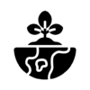 ecology copy